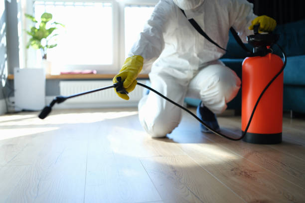 Reliable Hoarding Cleanup contractor in Holbrook, AZ by Dulley Family Biohazard Services